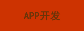 APP开发